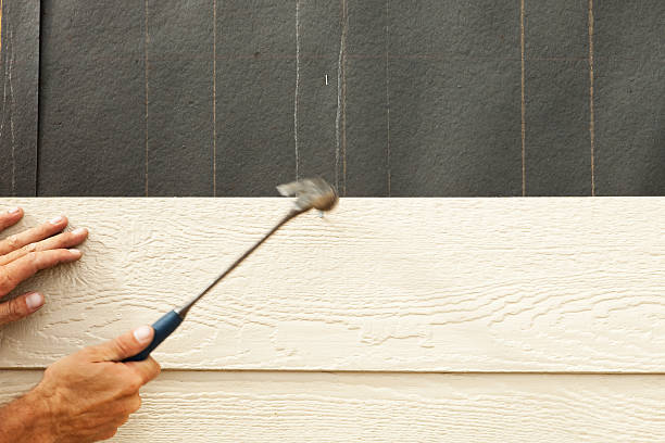 Best Brick Veneer Siding  in Dresden, TN